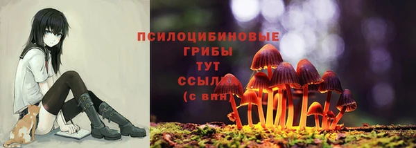 мяу мяу кристалл Алексин