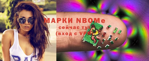 мдпв Новозыбков